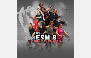 91-ESM-8 D6