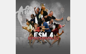 91-ESM-4 D2