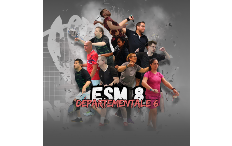 91-ESM-8 D6