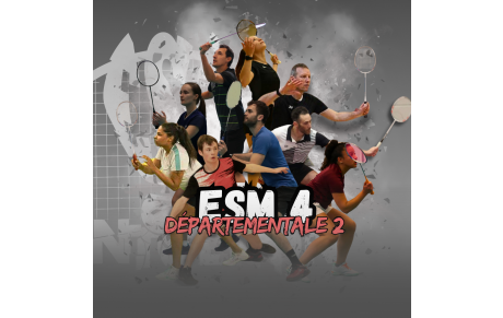 91-ESM-4 D2